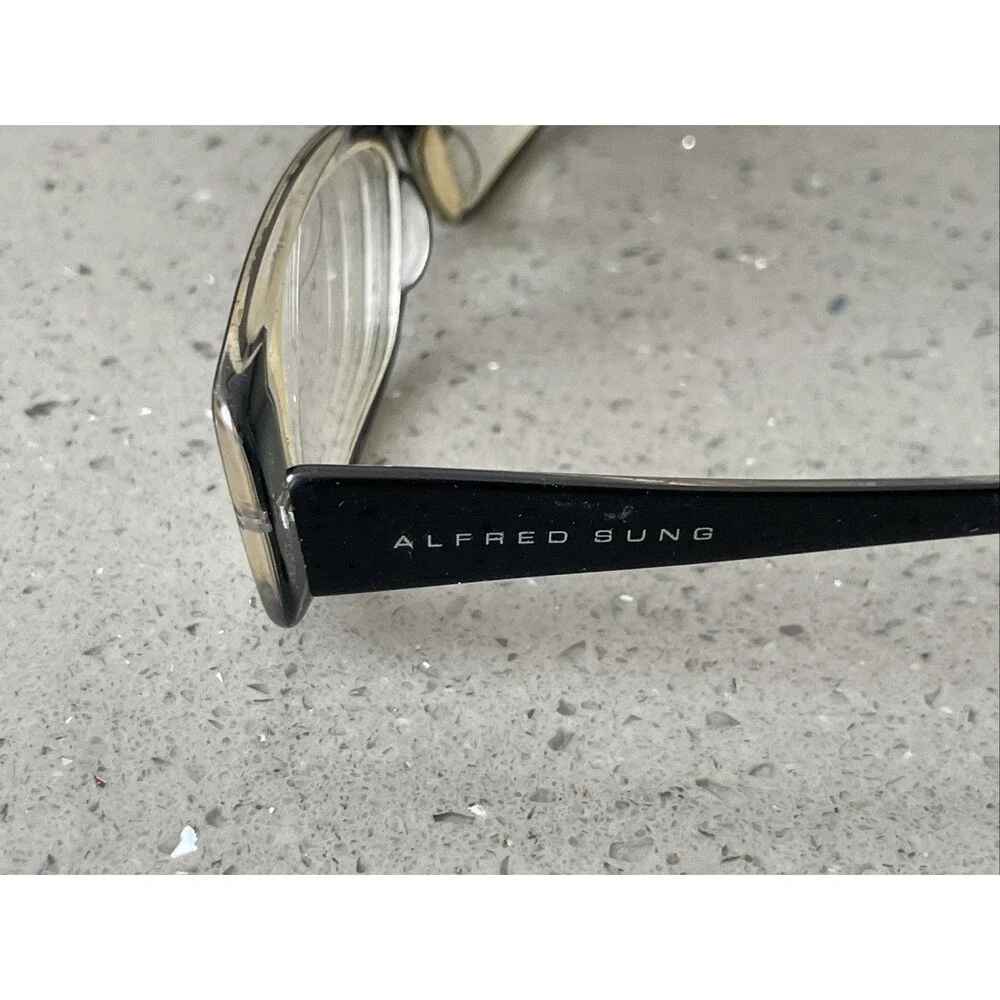 ALFRED SUNG nicks frames coating